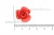 Украшение "Розы малые №1" 20мм - купить в Владимире. Цена: 32.49 руб.