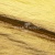 Текстильный материал "Диско"#1805 с покрытием РЕТ, 40гр/м2, 100% полиэстер, цв.5-золото - купить в Владимире. Цена 412.36 руб.