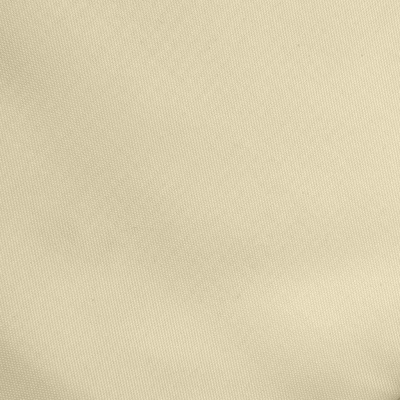 Ткань подкладочная Таффета 14-1014, антист., 53 гр/м2, шир.150см, цвет бежевый - купить в Владимире. Цена 62.37 руб.