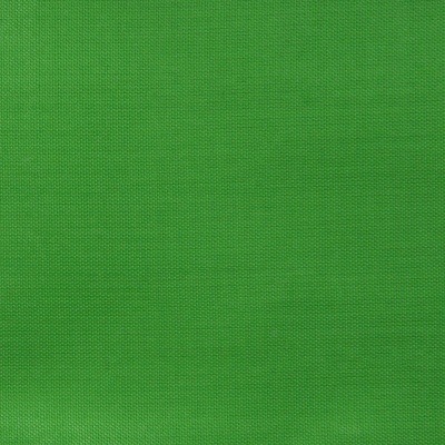 Ткань подкладочная Таффета 17-6153, 48 гр/м2, шир.150см, цвет трава - купить в Владимире. Цена 54.64 руб.