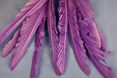 Декоративный Пучок из перьев, перо 25см/фиолетовый - купить в Владимире. Цена: 12.19 руб.