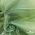 Ткань органза, 100% полиэстр, 28г/м2, шир. 150 см, цв. #27 зеленый - купить в Владимире. Цена 86.24 руб.