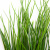 Трава искусственная -4, шт  (осока 50 см/8 см  7 листов)				 - купить в Владимире. Цена: 130.73 руб.