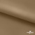 Ткань подкладочная Таффета 17-1327, антист., 54 гр/м2, шир.150см, цвет св.коричневый - купить в Владимире. Цена 65.53 руб.