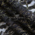 Кружевное полотно XD LACE 1-4, 80 гр/м2, шир.150см, цвет чёрный - купить в Владимире. Цена 245.94 руб.